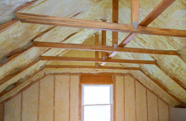 Best Energy-efficient Insulation  in Lakes Of The Four Seasons, IN