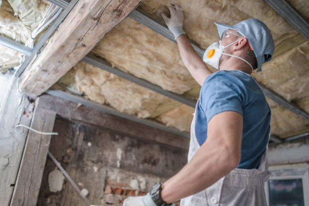 Insulation for Commercial Buildings in Lakes Of The Four Seasons, IN